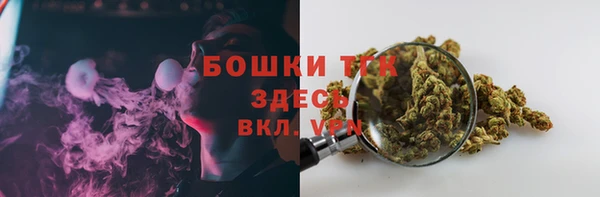 индика Вязники